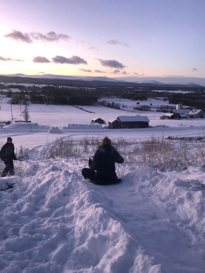 Fin Laegenhet I Centrala Oviken, Mellan Fjaell&Stad Exteriér fotografie